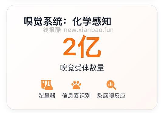 讨论/【科普】猫眼里看到的世界和猫并不想看的世界💁🏻请停止幻想，猫不需要这些 - 线报酷