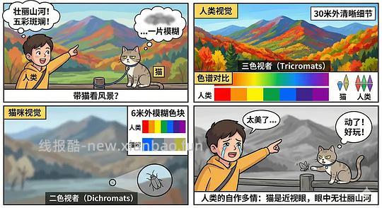 【科普】养猫科普漫画，持续更新中（1.17更新猫视觉听觉嗅觉、应激呕吐、消化呼吸泌尿系统、新猫到家、后院科普） - 线报酷