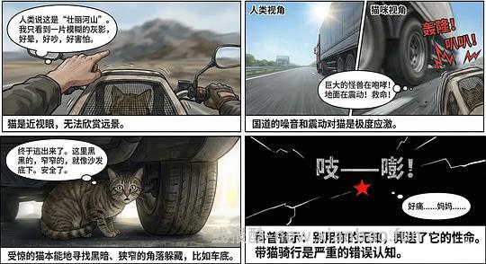 【科普】养猫科普漫画，持续更新中（1.17更新猫视觉听觉嗅觉、应激呕吐、消化呼吸泌尿系统、新猫到家、后院科普） - 线报酷