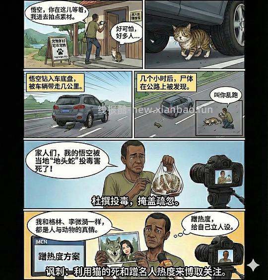 【科普】养猫科普漫画，持续更新中（1.17更新猫视觉听觉嗅觉、应激呕吐、消化呼吸泌尿系统、新猫到家、后院科普） - 线报酷