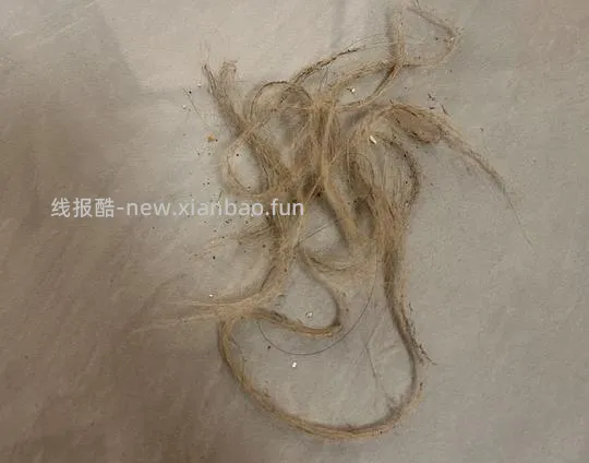 很好用的便宜魔术扫把！ - 线报酷