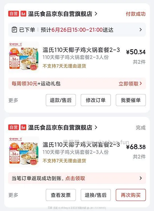 温氏椰子鸡2-3人份25r - 线报酷