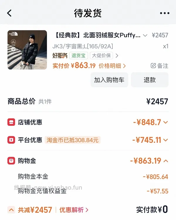 北面鹅绒冲锋衣 - 线报酷
