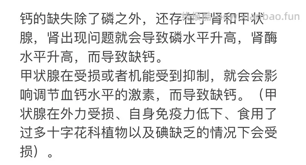 讨论｜【科普】搬运+整理自自然狗-狗狗需要吃蔬菜水果吗？ - 线报酷