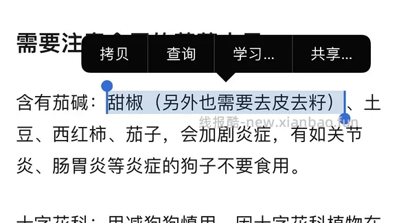 讨论｜【科普】搬运+整理自自然狗-狗狗需要吃蔬菜水果吗？ - 线报酷