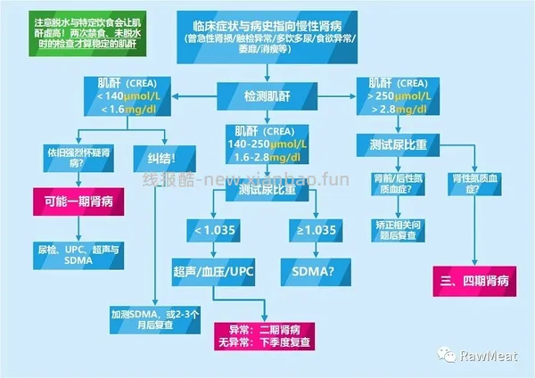 【科普】牙科问题和普通内科问题都可以留言，看到会回复 - 线报酷