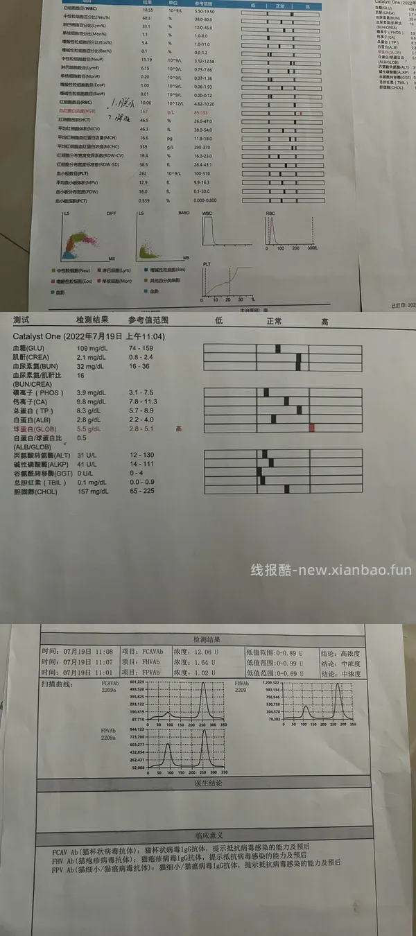 【科普】牙科问题和普通内科问题都可以留言，看到会回复 - 线报酷