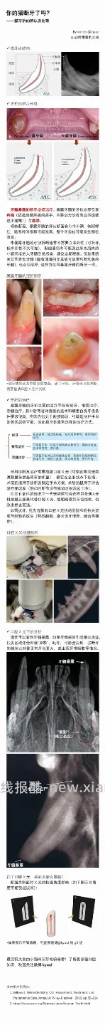 【科普】牙科问题和普通内科问题都可以留言，看到会回复 - 线报酷