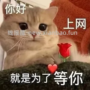 伊娃爱美瞳日抛16/10p - 线报酷