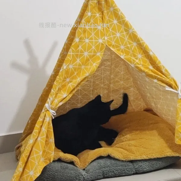 讨论/【科普】养猫省钱小妙招和好物推荐（欢迎补充☺️）【如有搬运，需本人同意】 - 线报酷