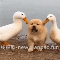 除深圳外的广东农行用户，有立减金的水快来 - 线报酷
