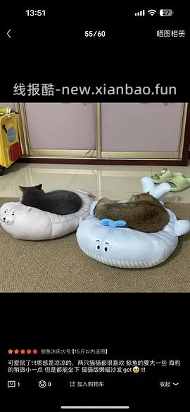 ZEZE猫窝海豹冰丝窝夏季凉窝高低弧度可枕猫垫子 鲸鱼冰床-小号44 - 线报酷