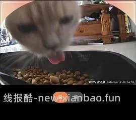 京东plus小佩超级好价喂食器，之前自己没搜到，现在靠朋友做到了，不会设置问答看我评论区吧 - 线报酷