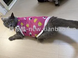【部分有货】好价野兽派长条动物抱枕105元送京东plus年卡 - 线报酷