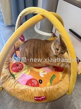 zeze和必胜客联名套餐送游戏床 - 线报酷