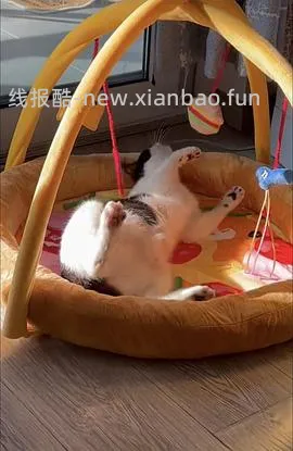 zeze和必胜客联名套餐送游戏床 - 线报酷