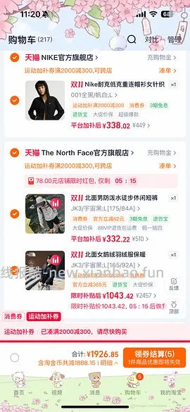 北面鹅绒冲锋衣 - 线报酷