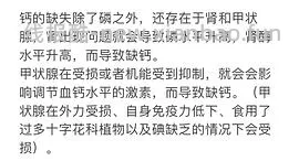 讨论｜【科普】搬运+整理自自然狗-狗狗需要吃蔬菜水果吗？ - 线报酷