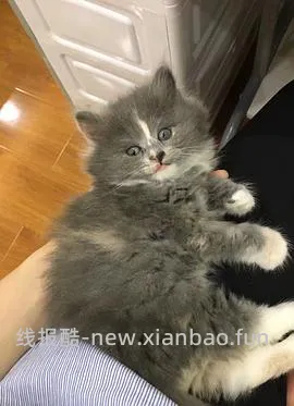 【科普】牙科问题和普通内科问题都可以留言，看到会回复 - 线报酷