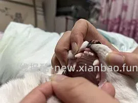 【科普】牙科问题和普通内科问题都可以留言，看到会回复 - 线报酷