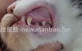 【科普】牙科问题和普通内科问题都可以留言，看到会回复 - 线报酷