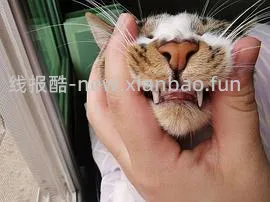 【科普】牙科问题和普通内科问题都可以留言，看到会回复 - 线报酷