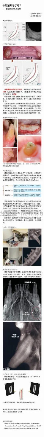 【科普】牙科问题和普通内科问题都可以留言，看到会回复 - 线报酷