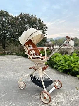 普洛可x6-3  遛娃神器到手380+ - 线报酷