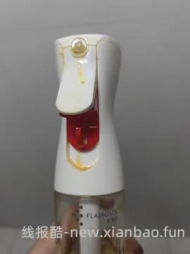 FLAirosol 喷油壶2个55左右，需五折券 - 线报酷