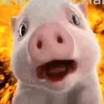 速！jd百度网盘年卡13.9 - 线报酷