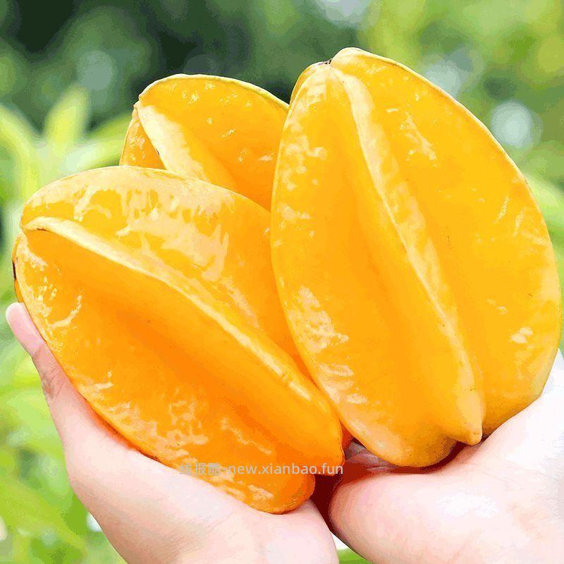 福建漳州杨桃4斤 17.9元 - 线报酷