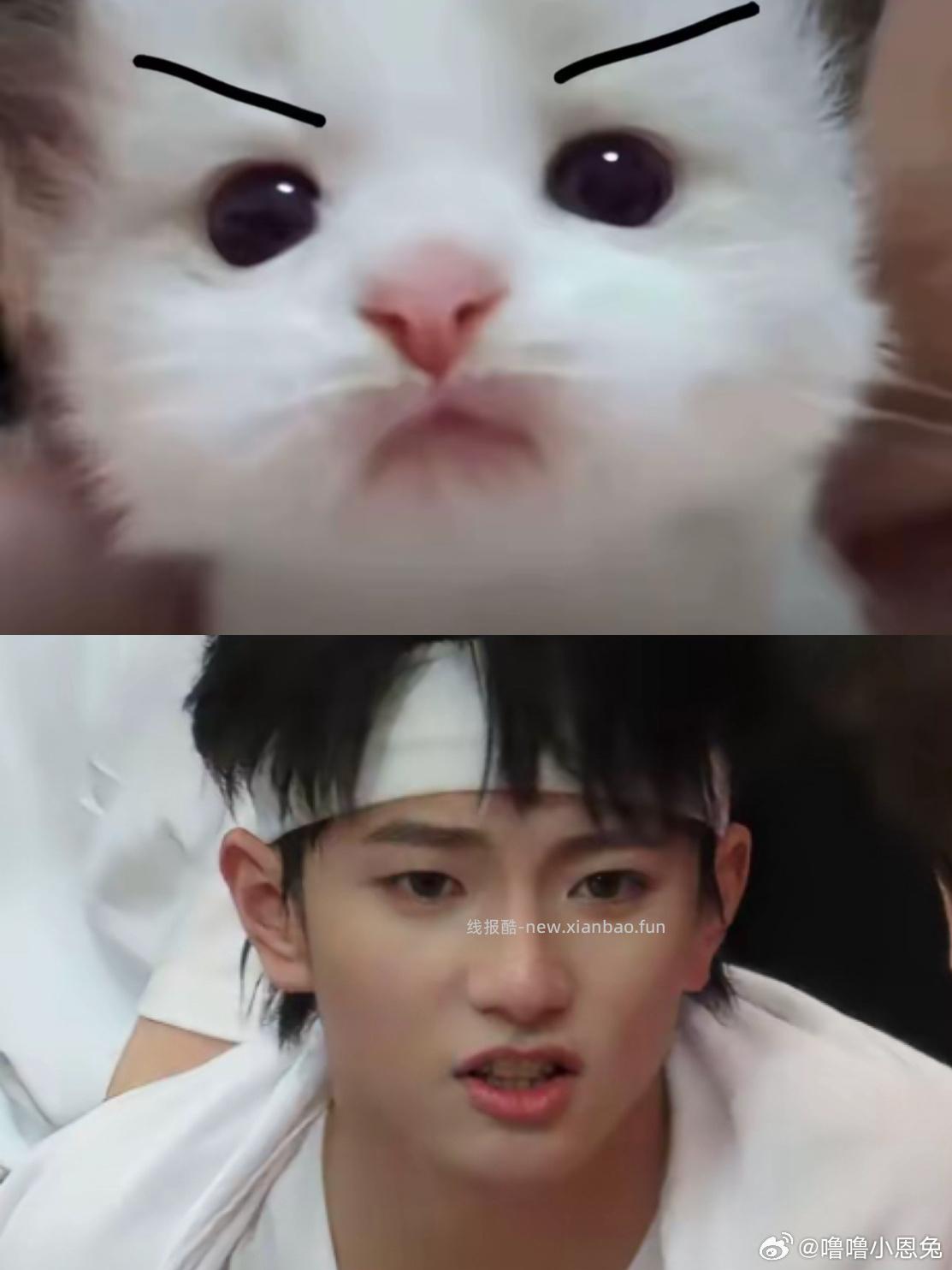 就这个萌呀 枳妹一: 耍帅被抢拼好饭在线分享训狗教程: 爱散有猫女: - 线报酷