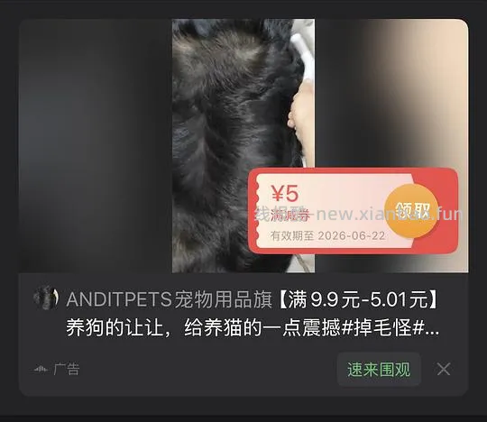 0.7入小狗小猫梳子 - 线报酷 0.7入小狗小猫梳子 - 线报酷